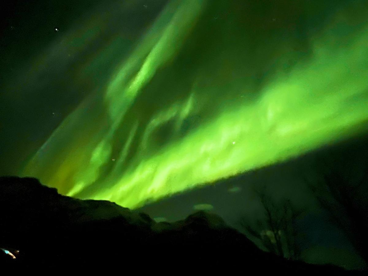 Lofoten Glampingdome Myrland Exterior foto