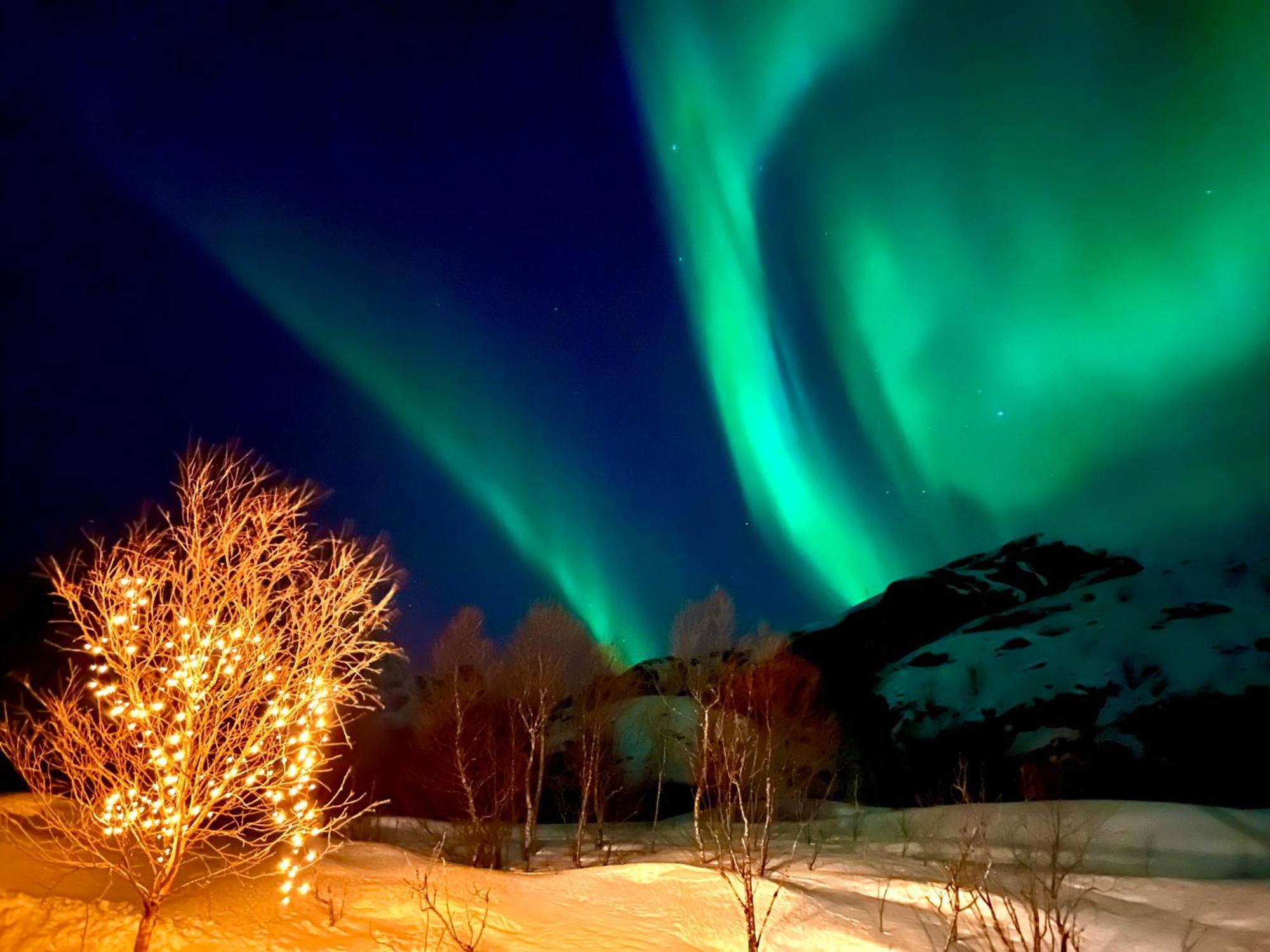 Lofoten Glampingdome Myrland Exterior foto